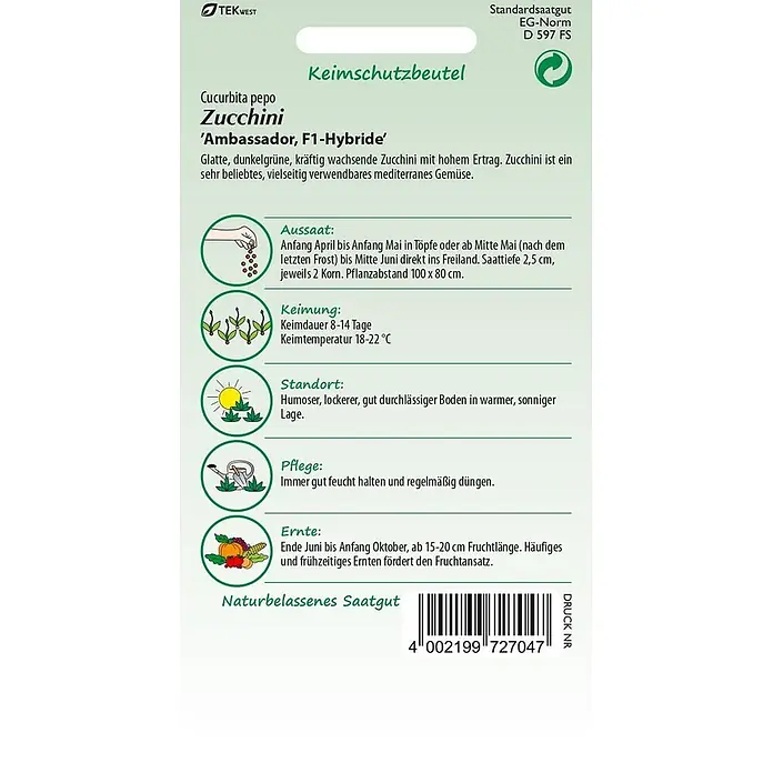 Samen Pfann Saatgut Zucchini, Ambassador - Cucurbita pepo - Zucchini 'Ambassador' F1-Hybrid-Saatgutpackung.