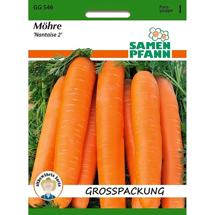 Samen Pfann Saatgut Möhre, Nantaise 2 - Daucus carota - Samen Pfann Möhrensamenpackung, Sorte 'Nantaise 2', mit orangefarbenen Karotten, "GROSSPACKUNG" und "altbewährte Sorte" Aufschriften.