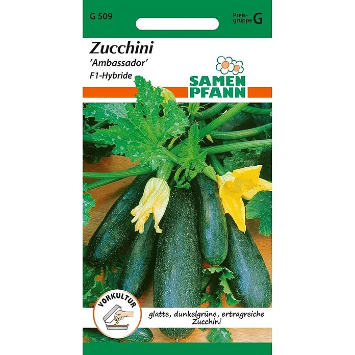 Samen Pfann Saatgut Zucchini, Ambassador - Cucurbita pepo - Zucchini 'Ambassador' F1-Hybride Samenpackung von Samen Pfann, zeigt dunkelgrüne Zucchini mit gelben Blüten und Blättern.
