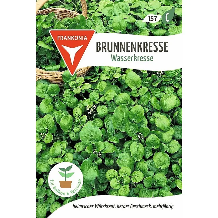 Frankonia Samen Saatgut Brunnenkresse, Wasserkresse online kaufen bei  BAUHAUS
