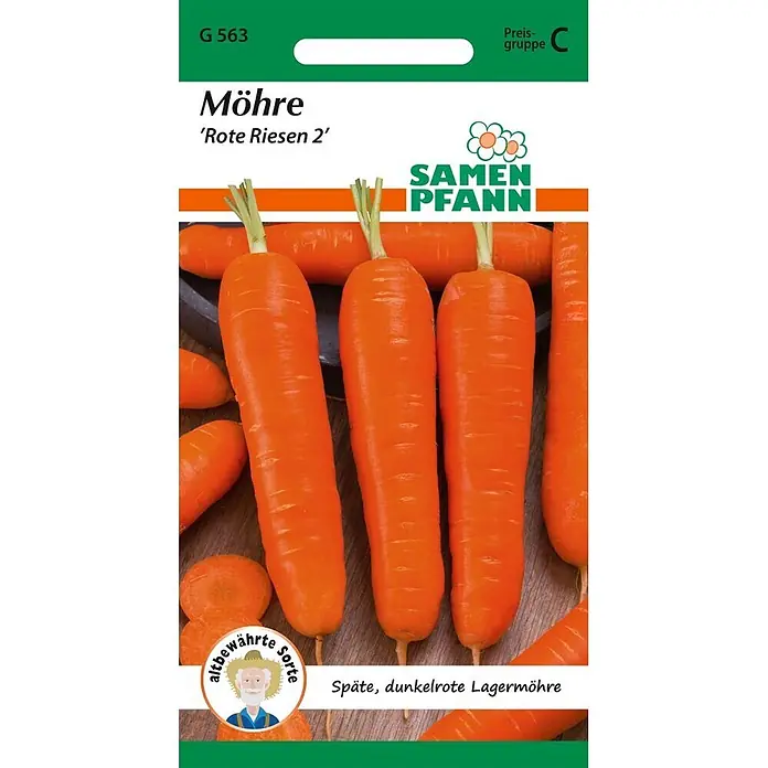 Samen Pfann Saatgut Möhre, Rote Riesen 2 - Daucus carota - Samenpackung für Möhren 'Rote Riesen 2', eine späte, dunkelrote Lagermöhre, abgebildet mit leuchtend orangefarbenen Karotten.