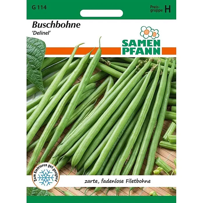 Samen Pfann Saatgut Buschbohne, Delinel - Phaseolus vulgaris, 6,2 g - Samentüte für Buschbohne 'Delinel', zeigt frische, zarte, fadenlose Filetbohnen. Zum Einfrieren geeignet.