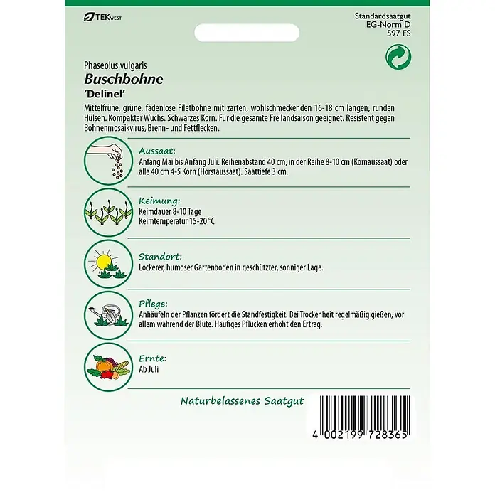 Samen Pfann Saatgut Buschbohne, Delinel - Phaseolus vulgaris, 6,2 g - Ein Saatgutpäckchen für Buschbohne 'Delinel' mit Pflanzanleitung und Produktinformationen.
