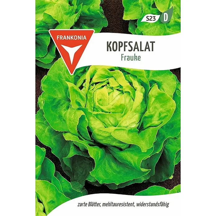 Frankonia Samen Saatgut Kopfsalat, Frauke - Lactuca sativa, 1,48 g - Ein frischer grüner Kopfsalat der Sorte Frauke, wachsend in dunkler Erde.