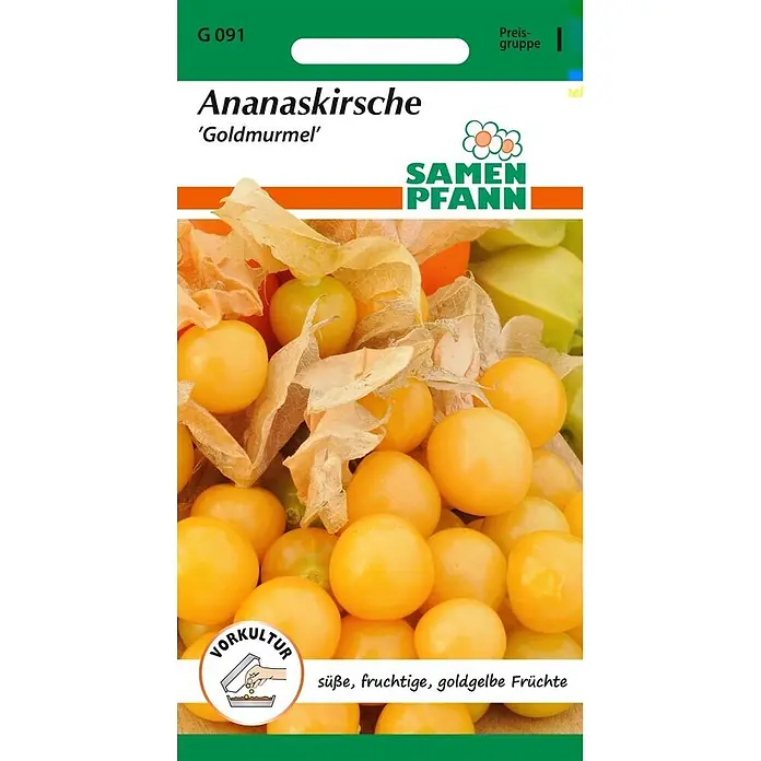 Samen Pfann Saatgut Physalis, Goldmurmel - Physalis pruinosa, var. Goldmurmel, 1,6 g - Samenpackung Ananaskirsche 'Goldmurmel' mit süßen, goldgelben Früchten und Vorkultur-Symbol.