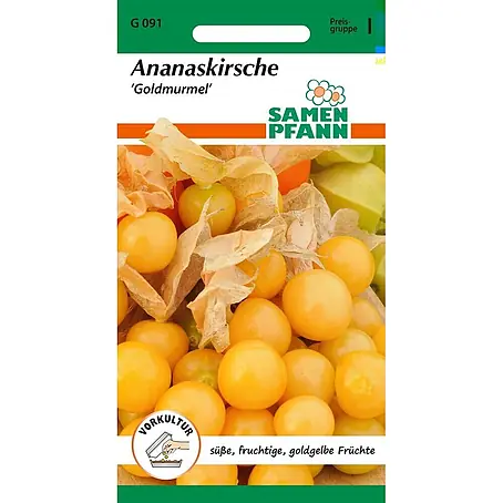 Samen Pfann  Saatgut Physalis, Goldmurmel