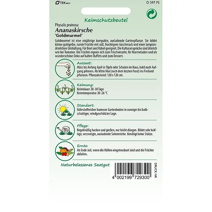 Samen Pfann Saatgut Physalis, Goldmurmel - Physalis pruinosa, var. Goldmurmel, 1,6 g - Samenpäckchen-Etikett für Physalis pruinosa 'Goldmurmel' mit detaillierten Pflanzanweisungen und Barcode.