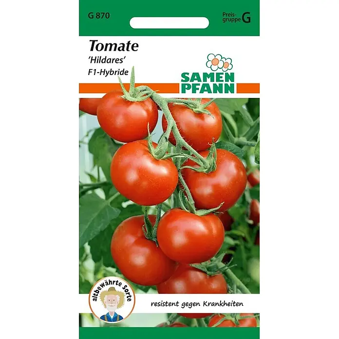 Samen Pfann Saatgut Tomate, Hildares F1 - Solanum lycopersicum, 1,6 g - Samenpackung Tomate 'Hildares' F1-Hybride mit Foto reifer roter Tomaten am Strauch. Beschriftung: 'resistent gegen Krankheiten'.