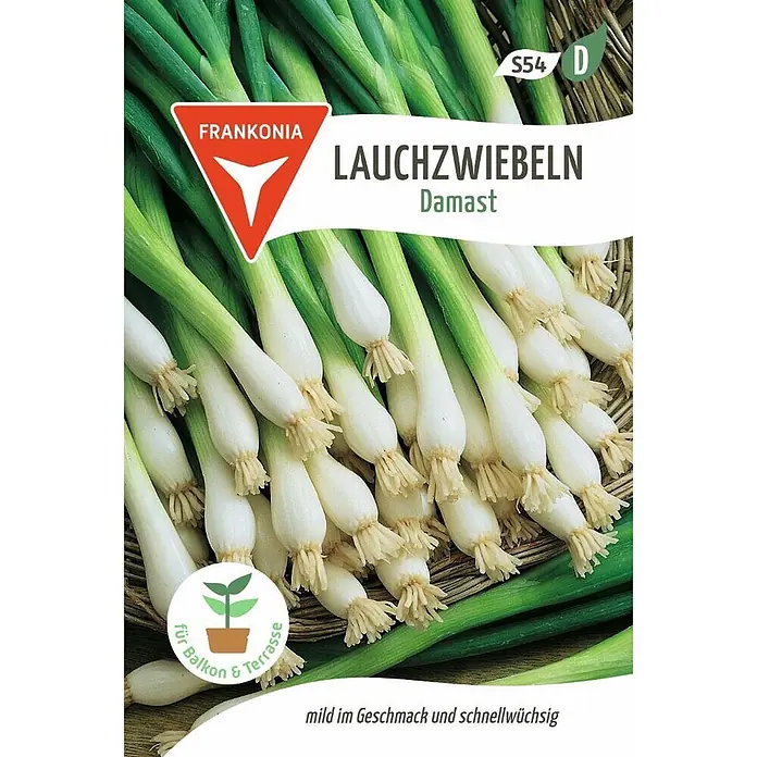 Frankonia Samen Saatgut Lauchzwiebel, Damast - Allium fistulosum, 1,53 g - Frische Lauchzwiebeln der Sorte Damast mit weißen Zwiebeln und grünen Stielen.
