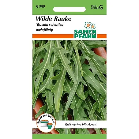Samen Pfann Saatgut Wilde Rauke