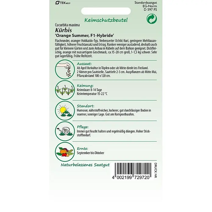 Samen Pfann Saatgut Kürbis, Orange Summer F1 (Hokkaido-Kürbis) - Cucurbita maxima, 1,6 g - Samenpackung für 'Orange Summer' F1-Hybrid-Kürbissamen mit Pflanzanleitung und Produktinformationen.