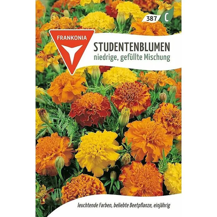 Frankonia Samen Saatgut Studentenblume, niedrige, gefüllte Mischung, Tagetes - Tagetes patula nana, 1,5 g - Studentenblumen Samenmischung mit niedrigen, gefüllten Blüten in leuchtendem Gelb, Orange und Rot.