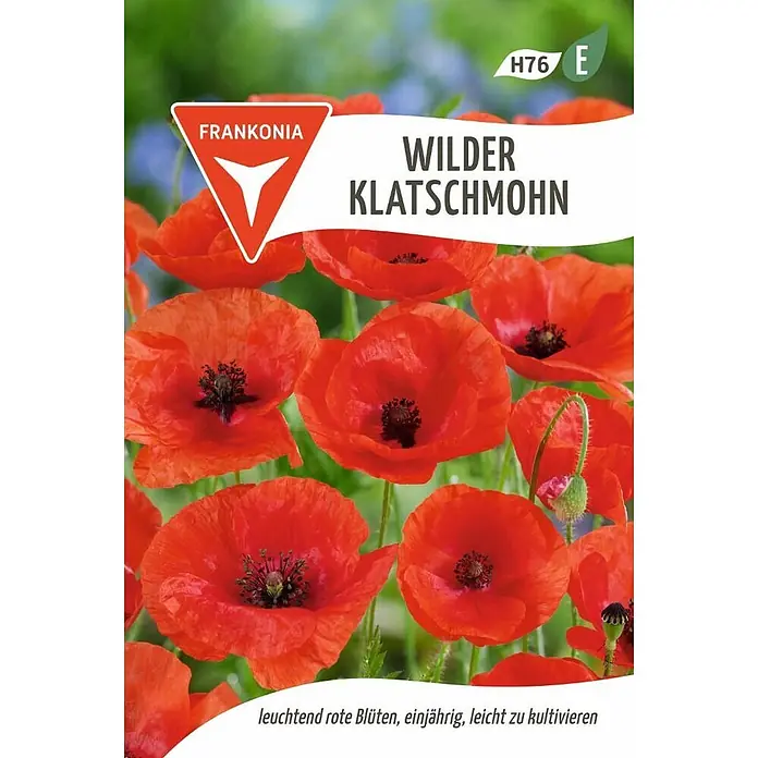 Frankonia Samen Saatgut Wilder Klatschmohn - Papaver rhoeas - Leuchtend rote Wilde Klatschmohn-Blüten mit dunkler Mitte, einjährig und pflegeleicht.