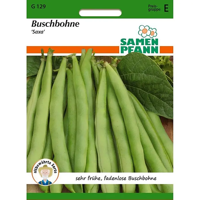 Samen Pfann Saatgut Buschbohne, Saxa - Phaseolus vulgaris, 6,2 g - Samenpackung für Buschbohnen 'Saxa' mit grünen Bohnen und Text "sehr frühe, fadenlose".