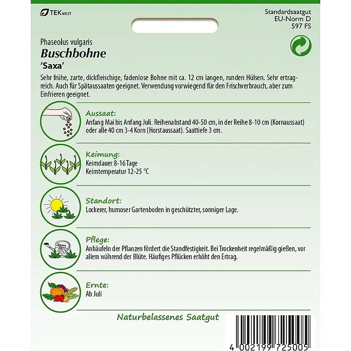 Samen Pfann Saatgut Buschbohne, Saxa - Phaseolus vulgaris, 6,2 g - Samenpackung für Buschbohne 'Saxa' mit grünen und weißen Flächen, Text und Pflanzanweisungen.