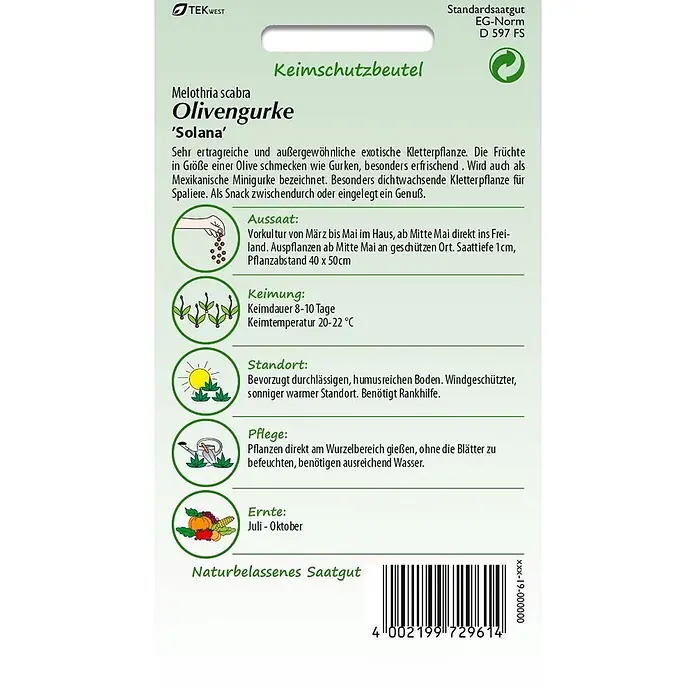 Samen Pfann Saatgut Olivengurke, Solana - Melothria scabra, 1,6 g - Samenpackung für Melothria scabra 'Solana' Olivengurken, mit Pflanzanleitung und Barcode.