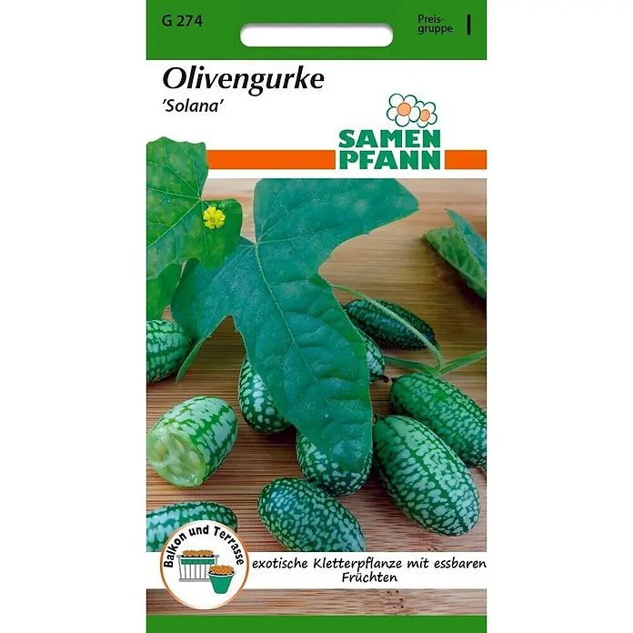 Samen Pfann Saatgut Olivengurke, Solana - Melothria scabra, 1,6 g - Samenpäckchen für Olivengurke 'Solana', mit kleinen grün gefleckten Früchten, Blättern und gelber Blüte. Eine exotische Kletterpflanze für Balkon.