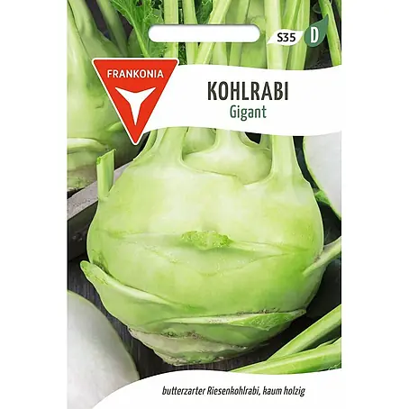 Frankonia Samen  Saatgut Kohlrabi, Gigant
