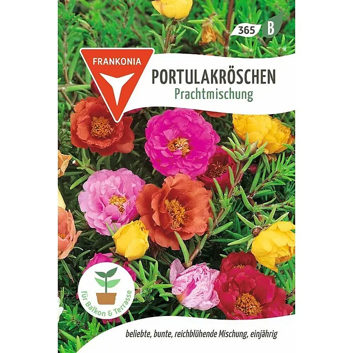 Frankonia Samen Saatgut Portulakröschen, Prachtmischung - Portulaca grandiflora, 1,47 g - Samentüte 'Frankonia Portulakröschen Prachtmischung' mit bunten Blüten für Balkon & Terrasse.
