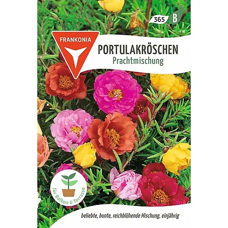 Frankonia Samen  Saatgut Portulakröschen, Prachtmischung