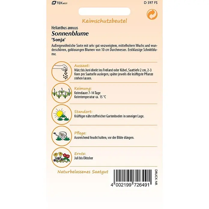 Samen Pfann Saatgut Sonnenblume, Sonja - Helianthus annuus, 1,6 g - Hellbraune Samenpackung für 'Sonja' Sonnenblumen, mit Pflanzanweisungen und botanischen Details.