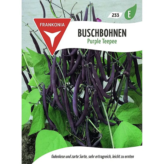 Frankonia Samen Saatgut Buschbohne, Purple Teepee - Phaseolus vulgaris, 5,67 g - Samentüte 'Purple Teepee' Buschbohnen mit dunkelvioletten Schoten und grünen Blättern. Beschrieben als fadenlos, zart, ertragreich und leicht zu ernten.