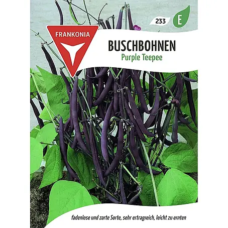 Frankonia Samen  Saatgut Buschbohne, Purple Teepee