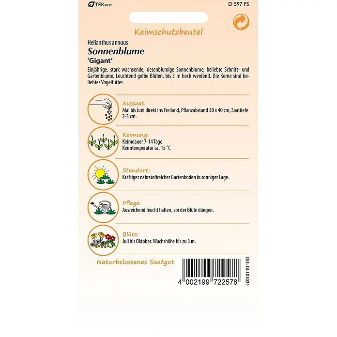 Samen Pfann Saatgut Sonnenblume, Gigant - Helianthus annuus - Samenpackung für 'Sonnenblume Gigant' (Helianthus annuus), mit Anbauhinweisen und Barcode.