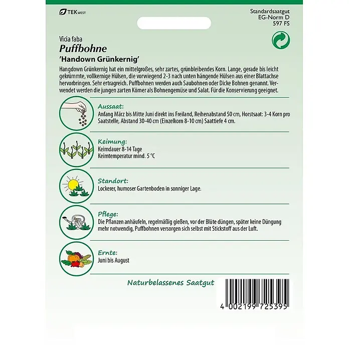 Samen Pfann Saatgut Puffbohne, Hangdown - Vicia faba - Samenpackung für Puffbohnen 'Handown Grünkernig', Vicia faba, mit Anbauinformationen.