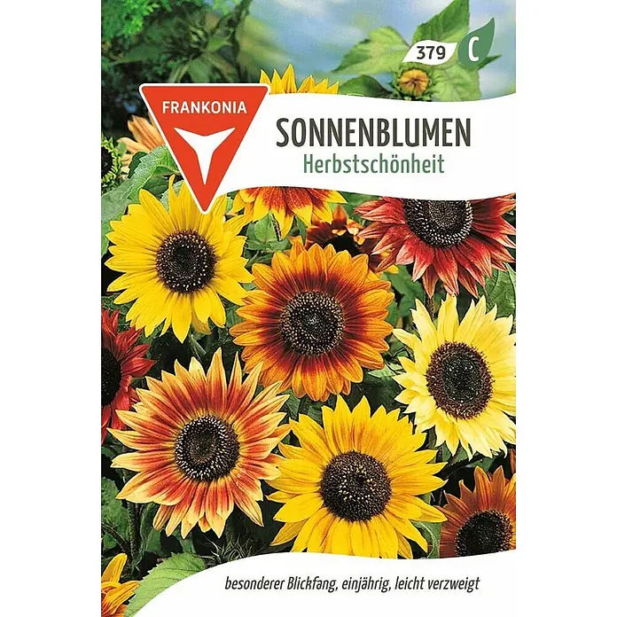Frankonia Samen Saatgut Sonnenblume - Herbstschönheit - Helianthus annuus, 1,53 g - Sonnenblumen 'Herbstschönheit' in leuchtenden Gelb-, Orange- und Rottönen.