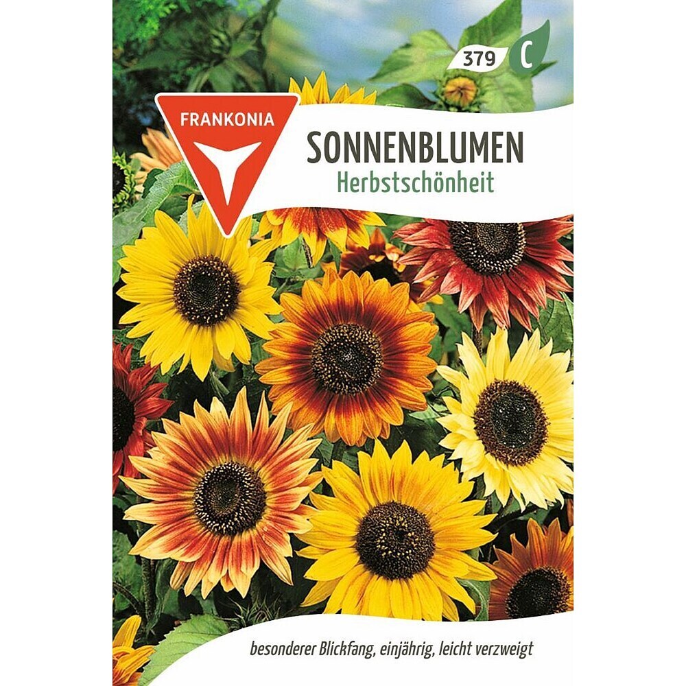 knstlicher olivenbaum wie echt Knstlicher Olivenbaum | 160 cm