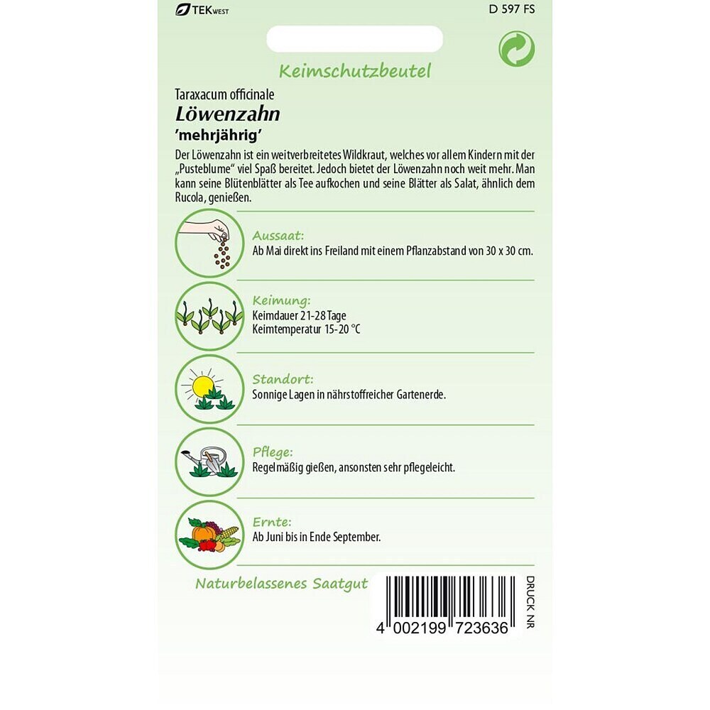 orchideenblüten künstlich Künstliche Orchidee - Han