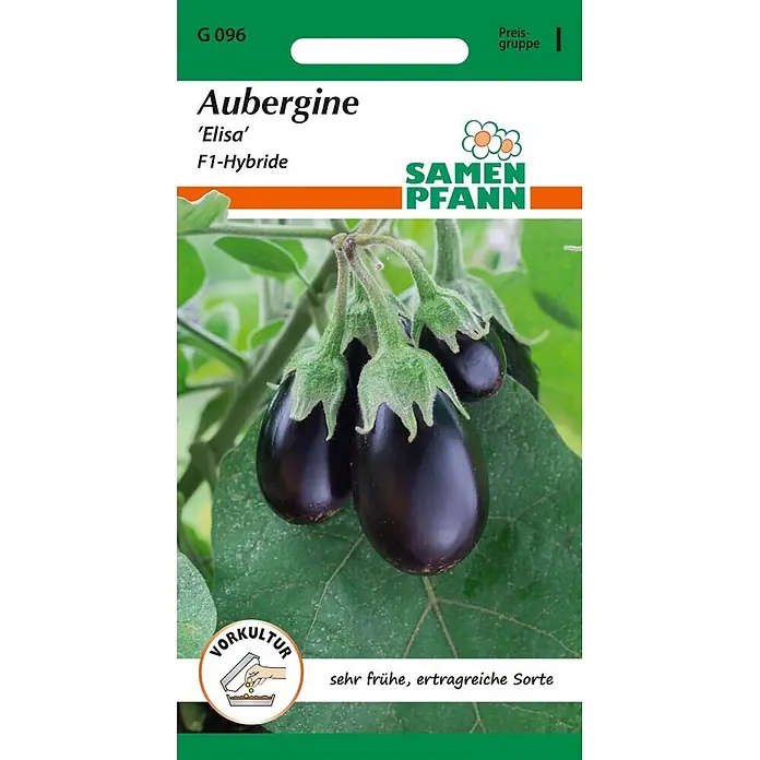 Samen Pfann Saatgut Aubergine, Elisa - Solanum melongena, 1,6 g - SAMEN PFANN Aubergine 'Elisa' F1-Hybride Samensäckchen mit Bild von dunkelvioletten Auberginen und 'VORKULTUR'-Symbol.
