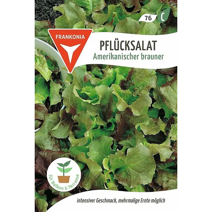 Frankonia Samen Saatgut Pflücksalat, Amerikanischer brauner - Lactuca sativa, 1,63 g - Samenpäckchen: Frankonia 'Amerikanischer brauner' Pflücksalat, ideal für Balkon & Terrasse.
