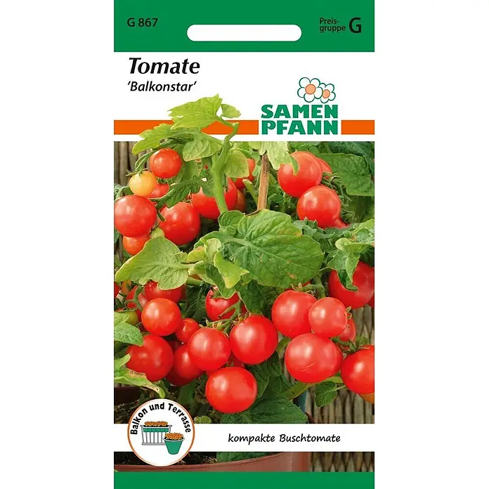 Samen Pfann Saatgut Tomate, Buschtomate, Balkonstar - Solanum lycopersicum, 1,6 g - Samenpackung für 'Balkonstar' kompakte Buschtomaten mit roten Tomaten an der Pflanze.