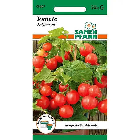 Samen Pfann  Saatgut Tomate, Buschtomate, Balkonstar
