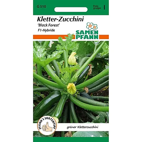 Samen Pfann  Saatgut Zucchini, Black Forest F1 (Kletterzucchini)