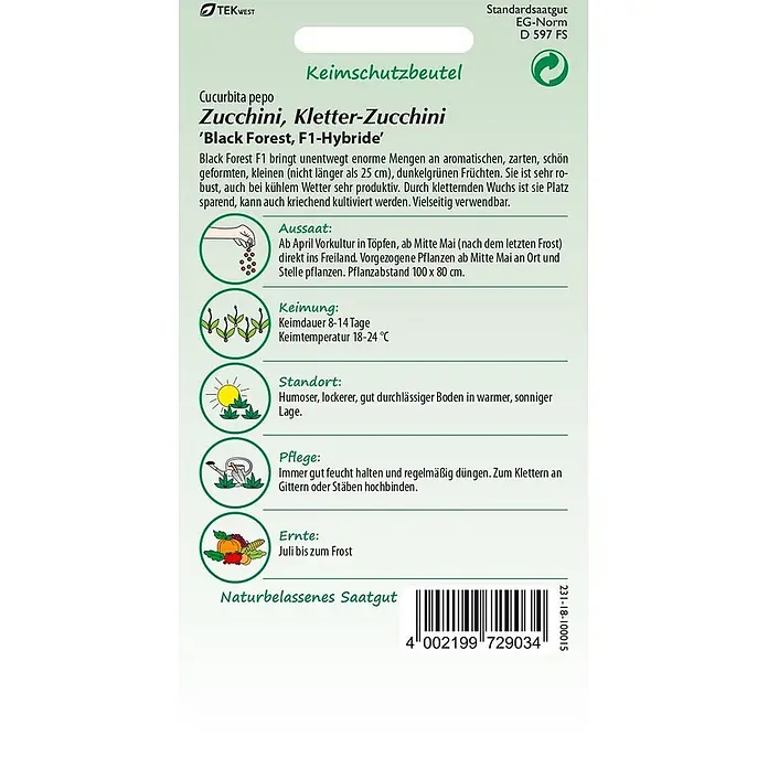 Samen Pfann Saatgut Zucchini, Black Forest F1 (Kletterzucchini) - Cucurbita pepo, 1,6 g - Samenpäckchen für Kletter-Zucchini 'Black Forest F1' mit Anbauanleitung.