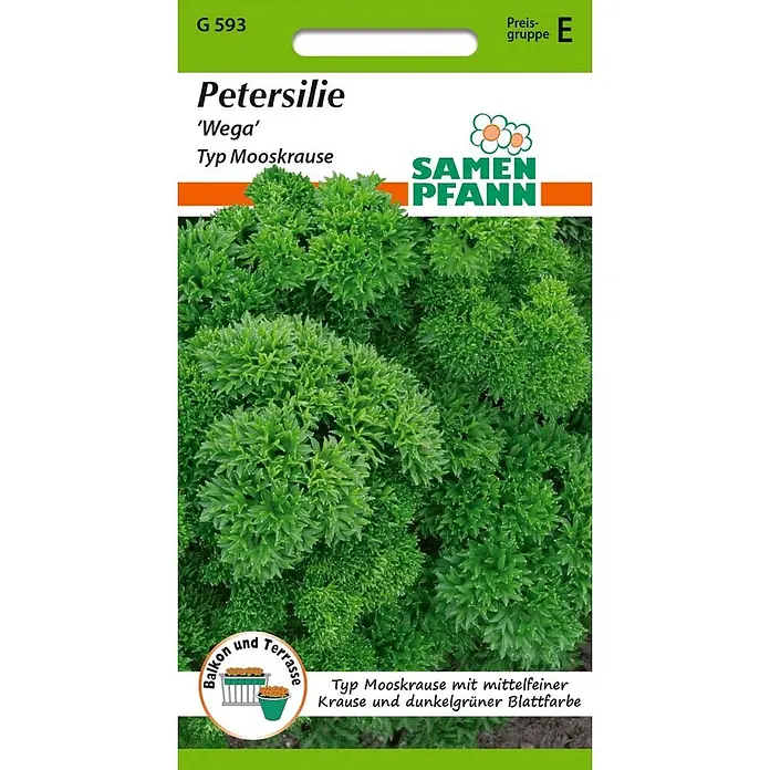 Samen Pfann Saatgut Petersilie, Mooskrause Wega - Petroselinum crispum - Grün-weiße Samenpackung für Petersilie 'Wega' Typ Mooskrause, zeigt dunkelgrüne, krause Petersilienblätter. Geeignet für Balkon und Terrasse.
