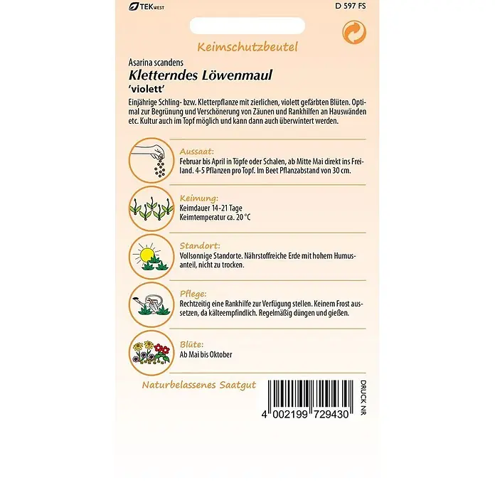 Samen Pfann Saatgut Kletterndes Löwenmäulchen - Asarina barclaiana, 1,6 g - Samenbeutel für violettes Kletter-Löwenmaul mit Anbauanleitung und Barcode.