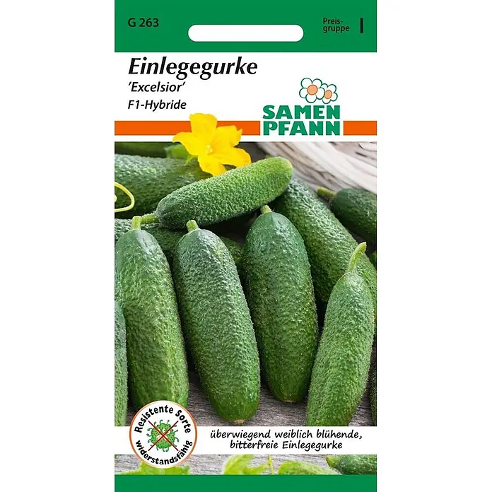 Samen Pfann Saatgut Einlegegurke, Excelsior F1 - Cucumis sativus, 1,6 g - Samentüte für Einlegegurken 'Excelsior' F1-Hybride mit grünen Gurken und gelber Blüte.