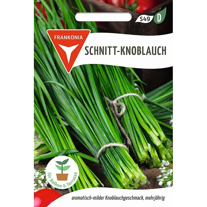 Frankonia Samen Saatgut Schnitt-Knoblauch - Aium tuberosum, 1,58 g - Samentüte Frankonia Schnitt-Knoblauch mit Bündeln grüner Röhren, für Balkon und Terrasse geeignet.