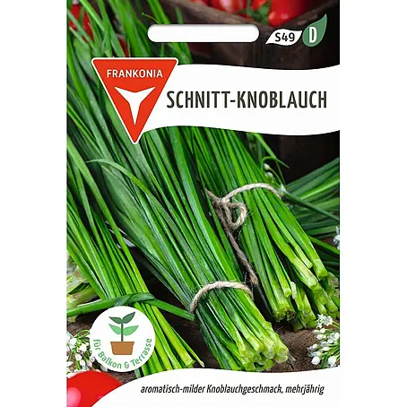 Frankonia Samen  Saatgut Schnitt-Knoblauch