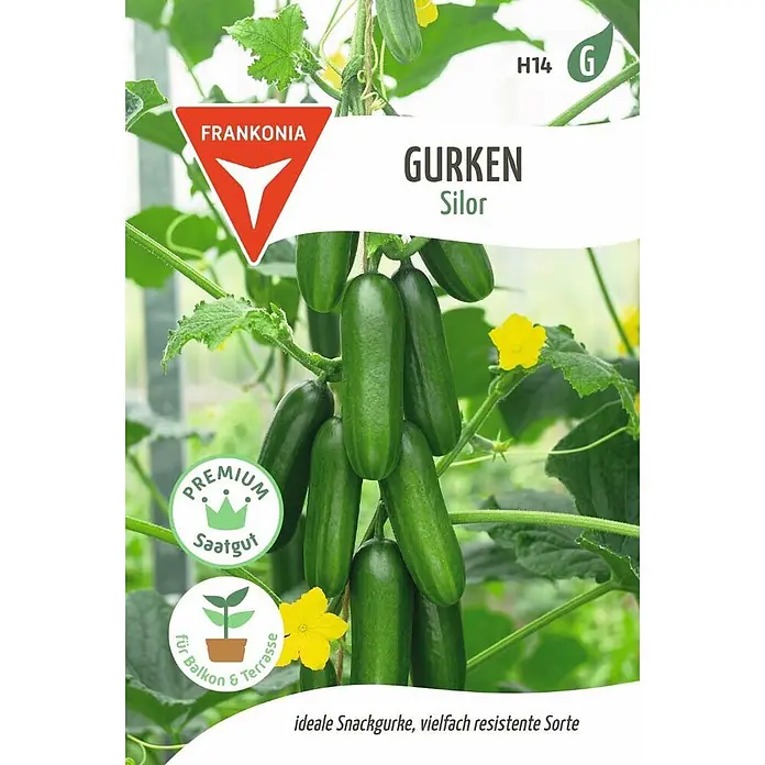 Frankonia Samen Saatgut Gurke, Silor F1 - Cucumis sativus - Grüne Silor Snackgurken, eine resistente Sorte für Balkon- und Terrassenanbau.