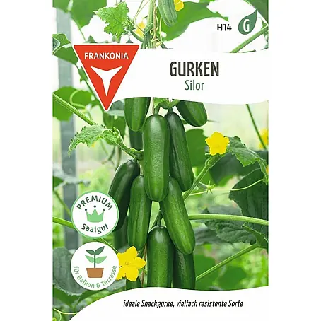 Frankonia Samen  Saatgut Gurke, Silor F1