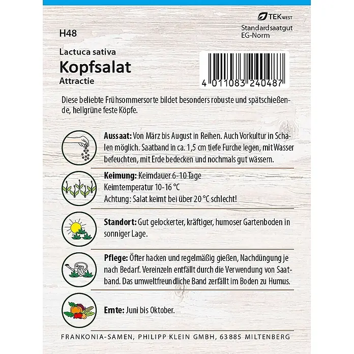 Frankonia Samen Saatgut Kopfsalat, Attraktion Saatband - Lactuca sativa, 2,27 g - Samenpäckchen für Kopfsalat 'Attractie' mit Pflanzanleitung.