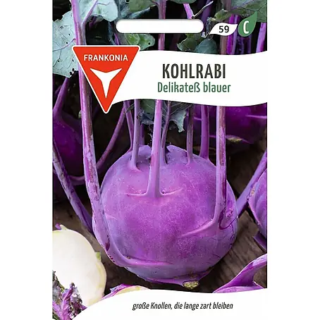 Frankonia Samen  Saatgut Kohlrabi, Delikatess blauer