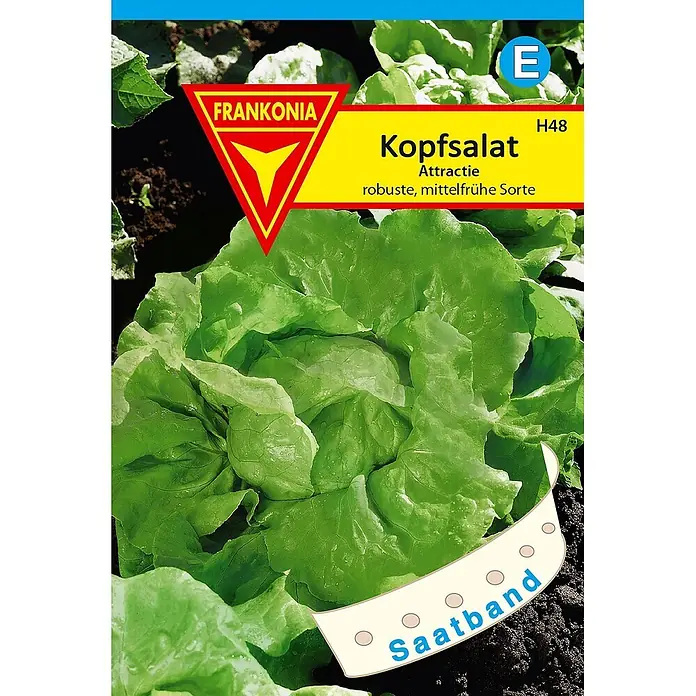 Frankonia Samen Saatgut Kopfsalat, Attraktion Saatband - Lactuca sativa, 2,27 g - FRANKONIA Kopfsalat Saatband-Packung mit Abbildung von frischem grünem Kopfsalat und Text "Kopfsalat Attractie Saatband".