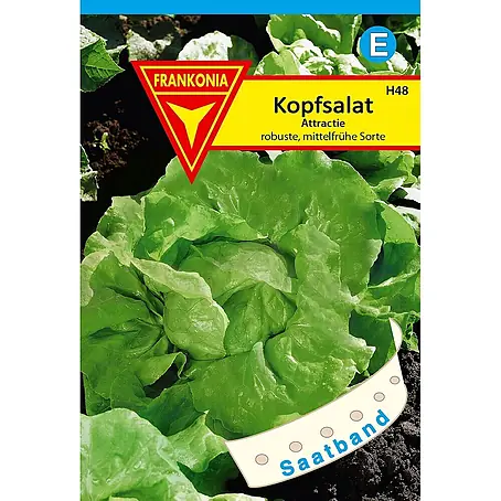 Frankonia Samen  Saatgut Kopfsalat, Attraktion Saatband