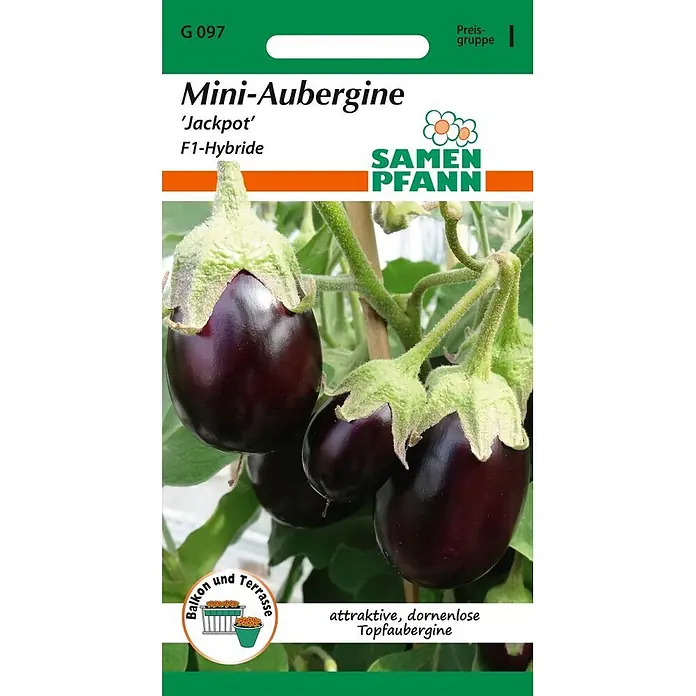 Samen Pfann Saatgut Aubergine, Mini-Aubergine, Jackpot F1 - Solanum melongena, 1,6 g - Samenpfann Mini-Aubergine 'Jackpot' F1-Hybride Samenpackung mit dunkellila Auberginen. Für Balkon und Terrasse geeignet.